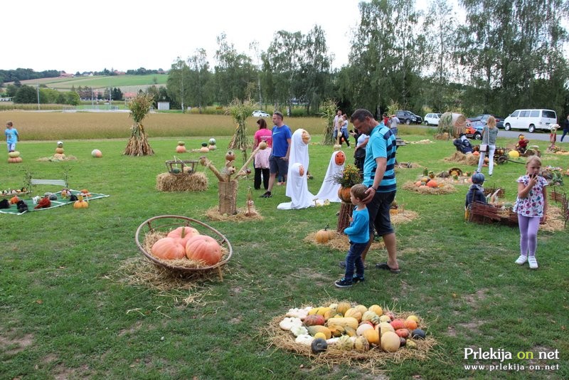 Bučarija 2017