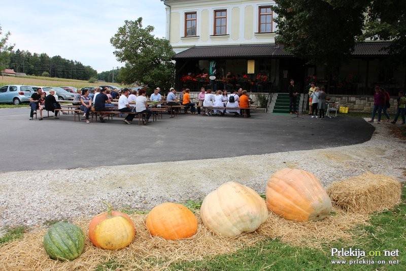 Bučarija 2017