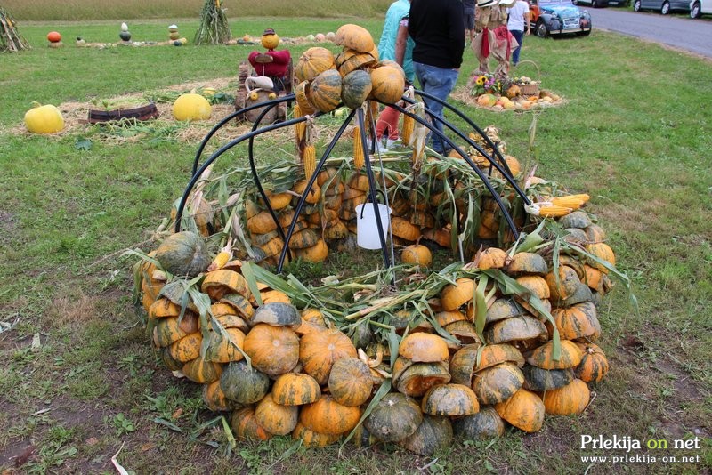 Bučarija 2017