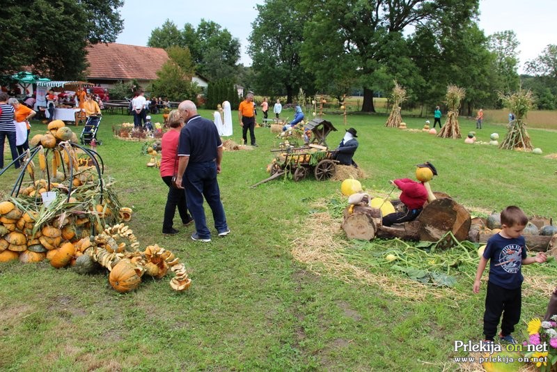 Bučarija 2017