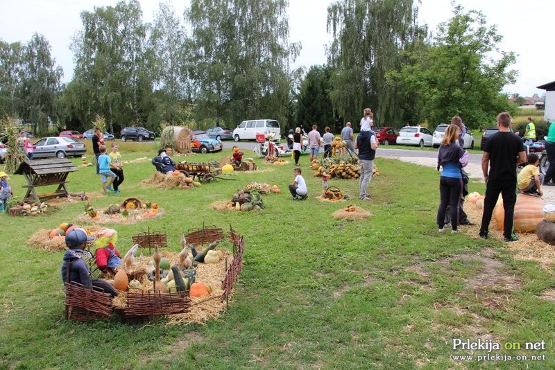 Bučarija 2017