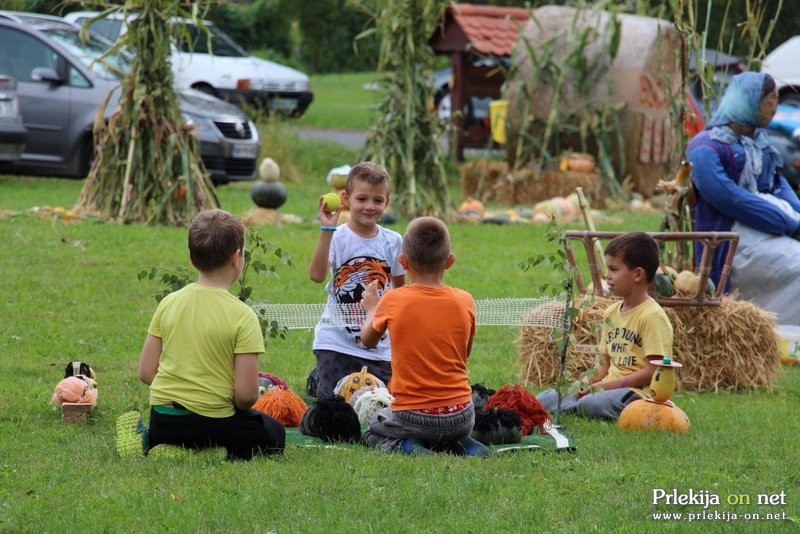 Bučarija 2017