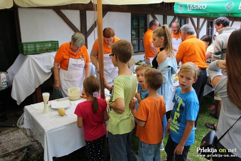 Bučarija 2017