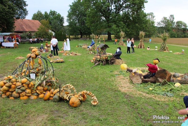 Bučarija 2017