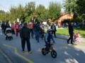 Dan brez avtomobila v Gornji Radgoni