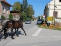 Dan odprtih vrat Oljarne Središče ob Dravi