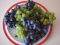 Jesenska dobrota – grozdje z domačih brajd