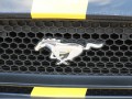 Karavana Mustangov v Ljutomeru
