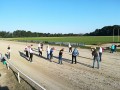 Test hoje in delavnica