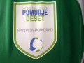 Znak domače ekipe Panvita Pomgrad Murska Sobota