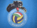 Znak madžarske ekipe iz Kaposvara