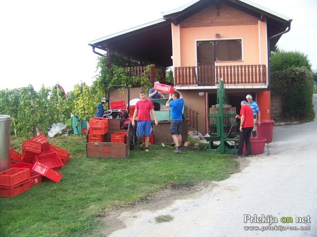 Trgatev v Šprincu