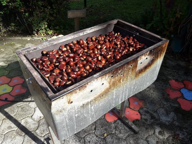 Teden otroka v vrtcu Mala Nedelja