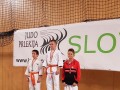 Judo Prlekija open 2017