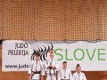 Judo Prlekija open 2017