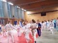 Judo Prlekija open 2017