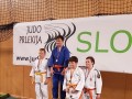 Judo Prlekija open 2017