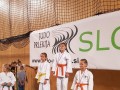 Judo Prlekija open 2017