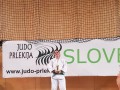 Judo Prlekija open 2017