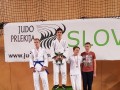 Judo Prlekija open 2017