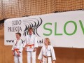 Judo Prlekija open 2017