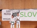 Judo Prlekija open 2017