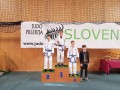 Judo Prlekija open 2017