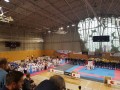 Karate sekcija TVD Partizan na državnem prvenstvu