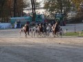 Kasaške dirke v Ljutomeru