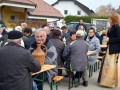 Martinovanje pri Mali Nedelji