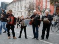 Martinovanje v Ljubljani