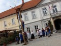 Martinovanje v Ljutomeru