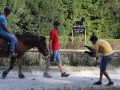 Snemanje prispevka o jahanju konj slepih in slabovidnih
