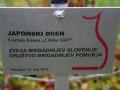Svoje drevo imajo tudi slovenski brigadirji