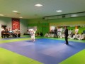 Zadnje kolo 1. slovenske judo lige