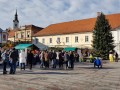 Kuharske in ustvarjalne delavnice na Glavnem trgu