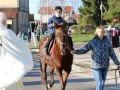 Štefanov blagoslov konj v Križevcih pri Ljutomeru