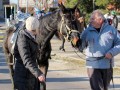 Štefanov blagoslov konj v Križevcih pri Ljutomeru