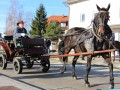 Štefanov blagoslov konj v Križevcih pri Ljutomeru