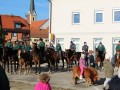 Štefanov blagoslov konj v Križevcih pri Ljutomeru