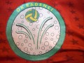 Znak Odbojkarskega kluba Radenci