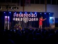 Dobrodelni koncert za Aneja in Jaka