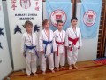Osnovnošolska liga v karateju