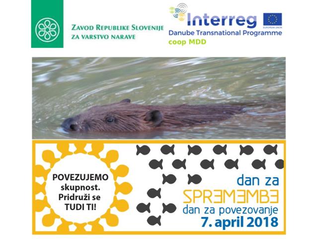 Dogodek ob mednarodnem dnevu bobra