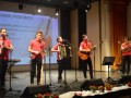 Dobrodelni koncert za Sanjo