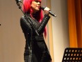 Dobrodelni koncert za Sanjo