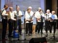 Dobrodelni koncert za Sanjo