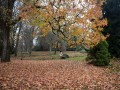 Lepota jeseni v Vrtu spominov in tovarištva na Petanjcih