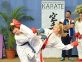 Ljutomerski karateisti v Žalcu