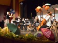 Mladinski orkester župnije Ljutomer